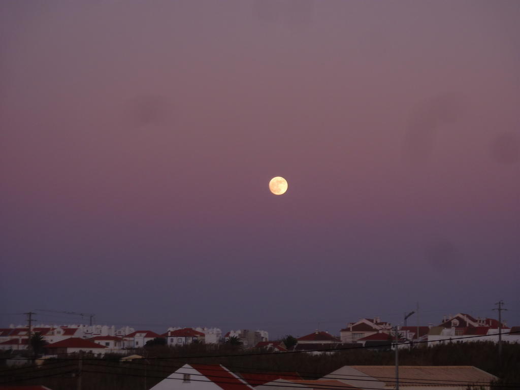 Bica, Luxury Heated Penthouses With Jacuzzi And Large Terrace In Baleal